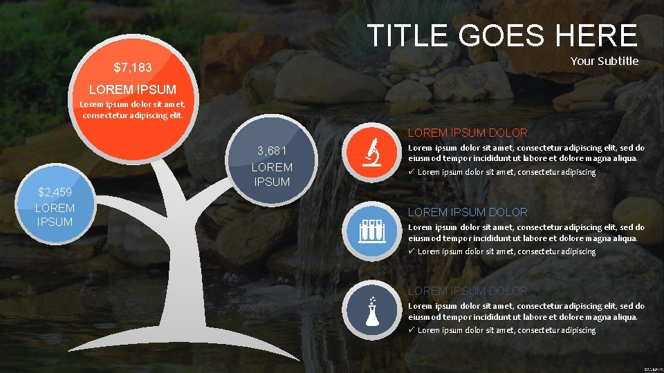 TITLE GOES HERE Your Subtitle $7, 183 LOREM IPSUM Lorem ipsum dolor sit amet,