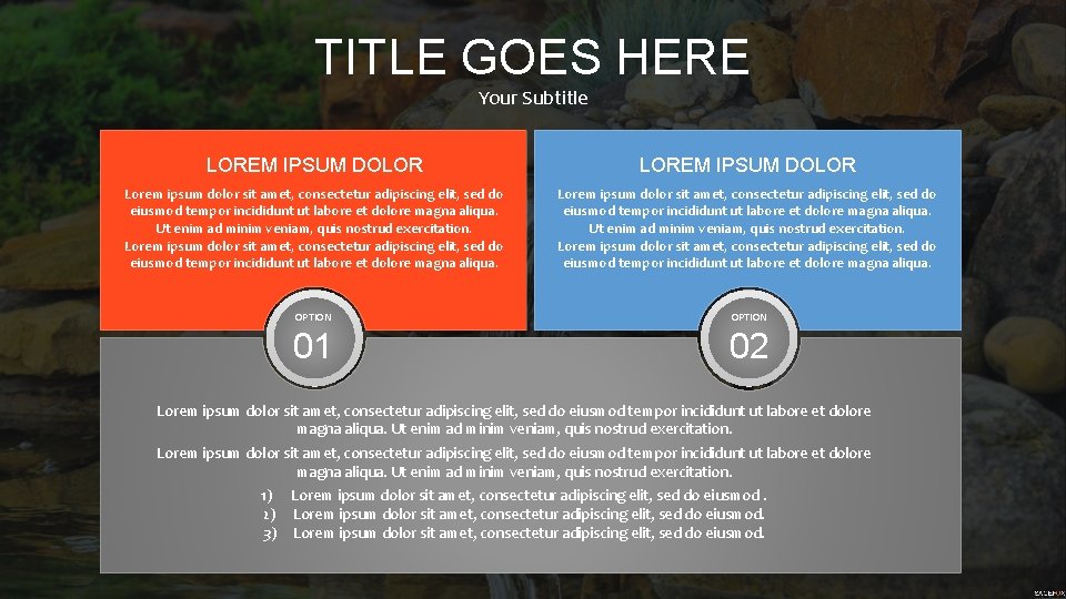TITLE GOES HERE Your Subtitle LOREM IPSUM DOLOR Lorem ipsum dolor sit amet, consectetur