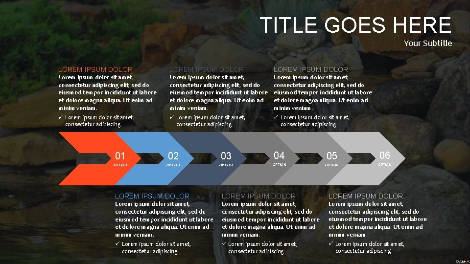 TITLE GOES HERE Your Subtitle LOREM IPSUM DOLOR Lorem ipsum dolor sit amet, consectetur