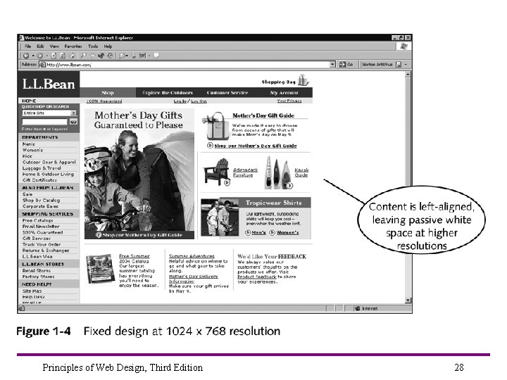 Principles of Web Design, Third Edition 28 