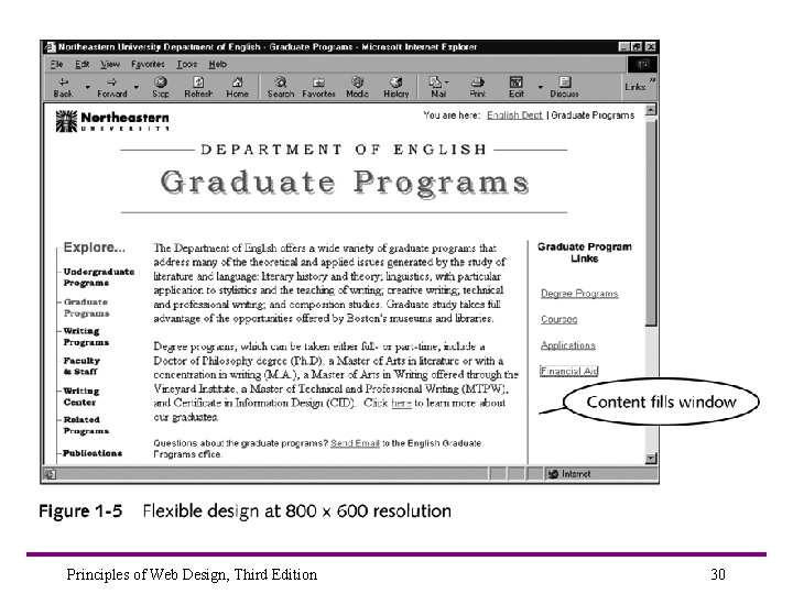 Principles of Web Design, Third Edition 30 