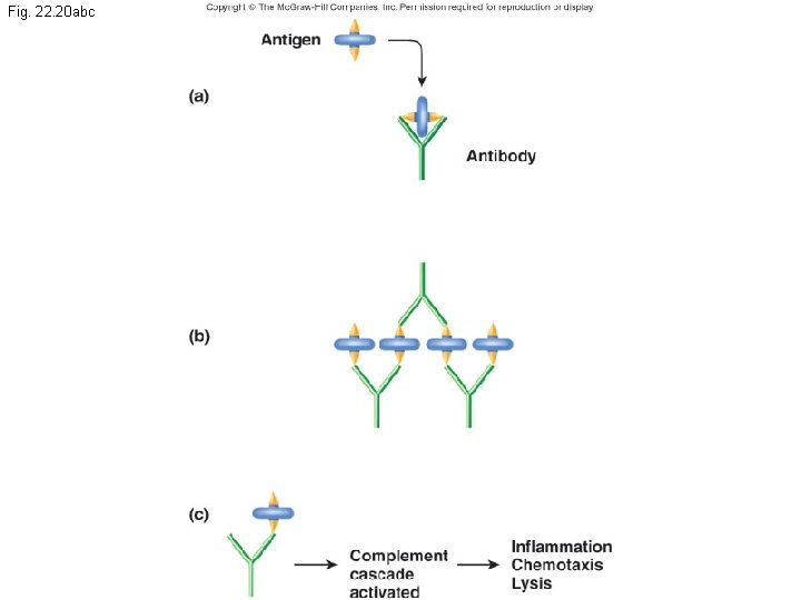 Fig. 22. 20 abc 