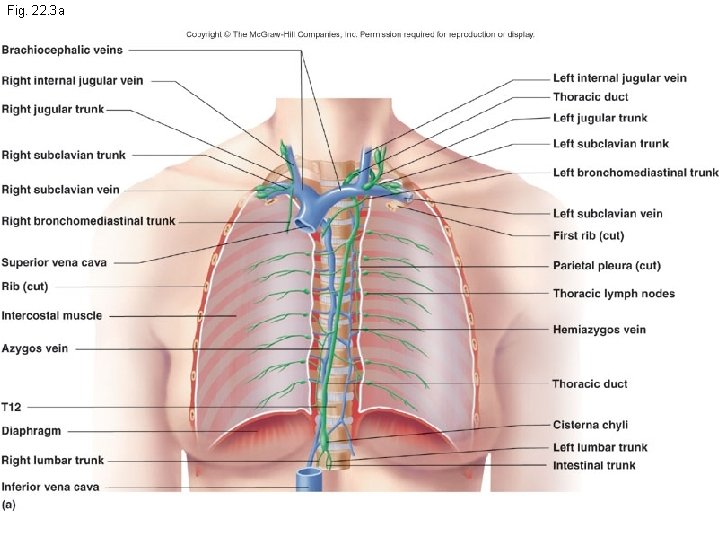 Fig. 22. 3 a 