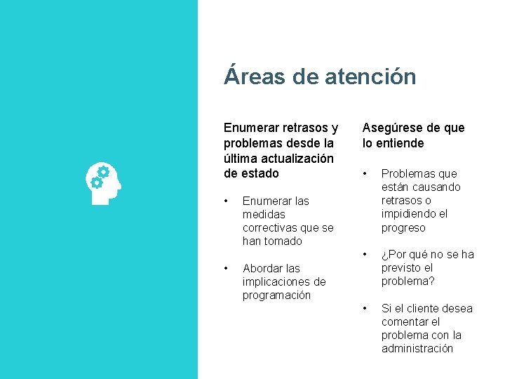 Áreas de atención Enumerar retrasos y problemas desde la última actualización de estado •