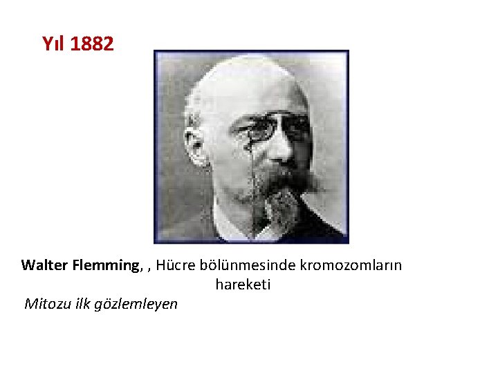 Yıl 1882 Walter Flemming, , Hücre bölünmesinde kromozomların hareketi Mitozu ilk gözlemleyen 