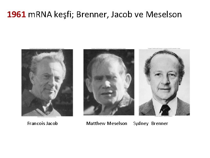 1961 m. RNA keşfi; Brenner, Jacob ve Meselson Francois Jacob Matthew Meselson Sydney Brenner