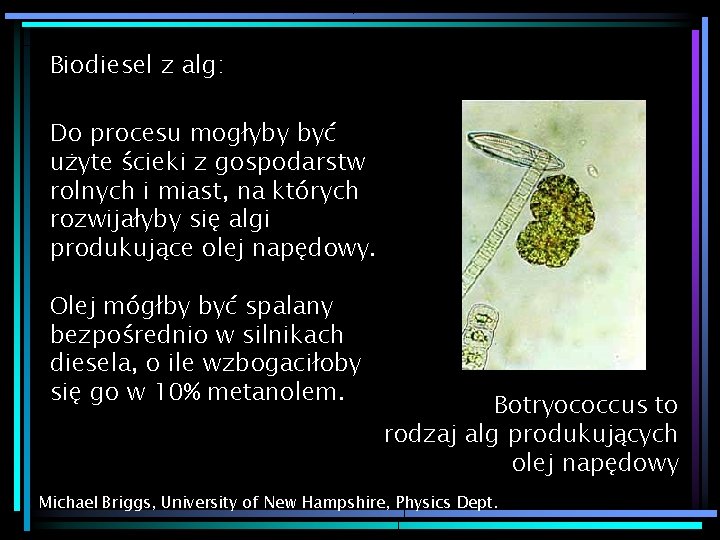 Biodiesel z alg: Do procesu mogłyby być użyte ścieki z gospodarstw rolnych i miast,