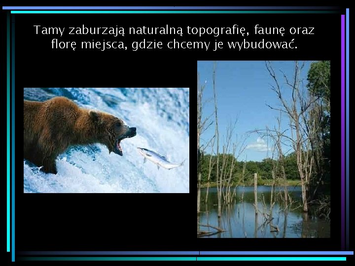 Tamy zaburzają naturalną topografię, faunę oraz florę miejsca, gdzie chcemy je wybudować. 