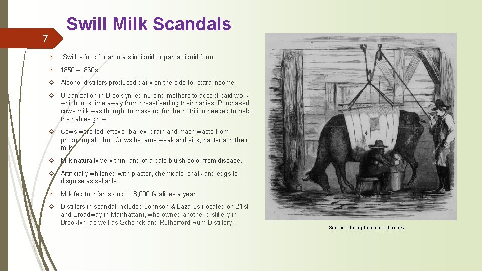 7 Swill Milk Scandals ´ “Swill” - food for animals in liquid or partial