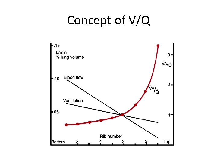 Concept of V/Q 