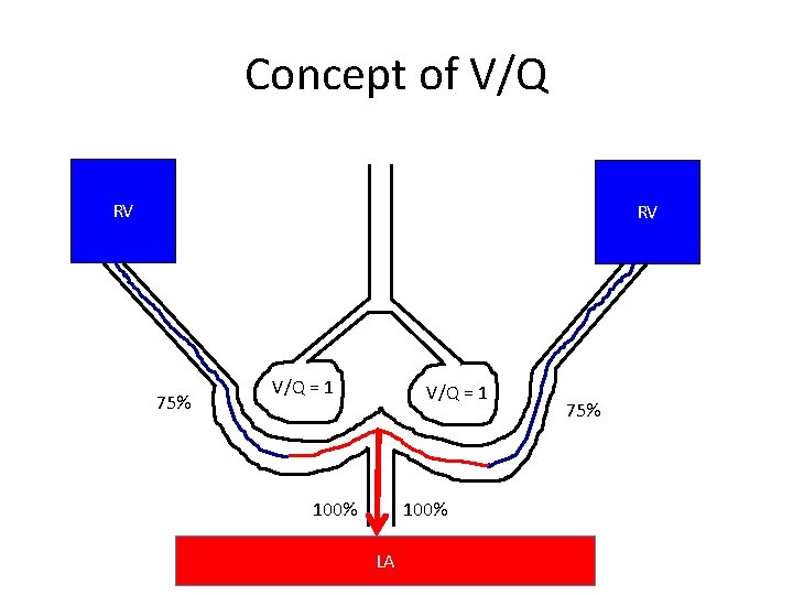 Concept of V/Q RV RV 75% V/Q = 1 100% LA 75% Concept of V/Q RV RV 75% V/Q = 1 100% LA 75%