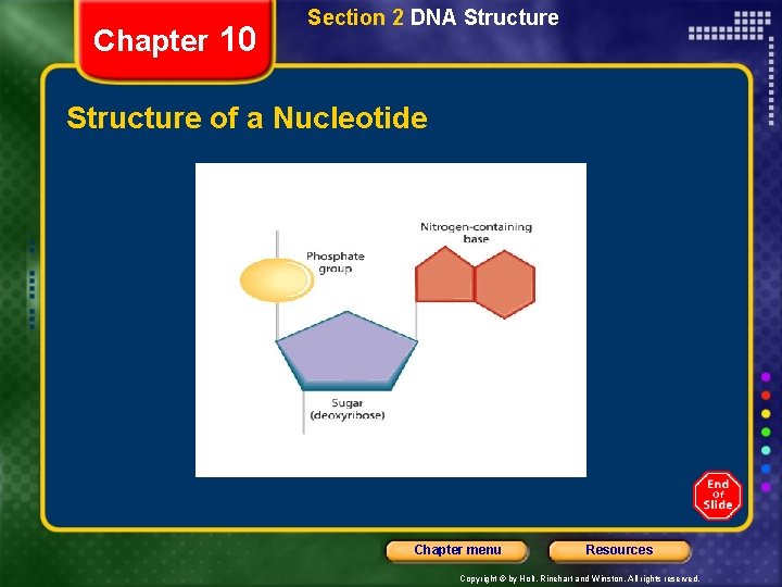 Chapter 10 Section 2 DNA Structure of a Nucleotide Chapter menu Resources Copyright ©