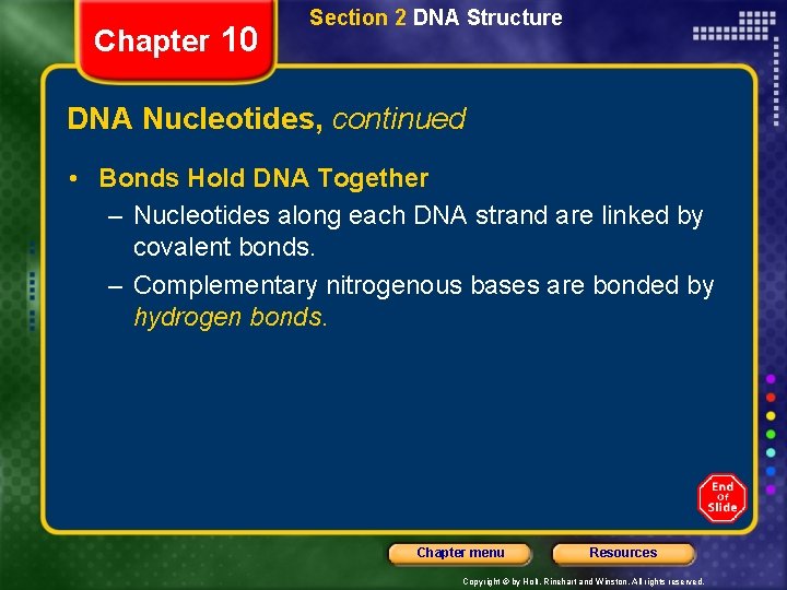 Chapter 10 Section 2 DNA Structure DNA Nucleotides, continued • Bonds Hold DNA Together