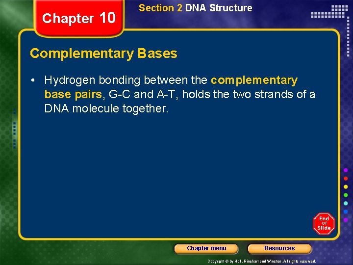 Chapter 10 Section 2 DNA Structure Complementary Bases • Hydrogen bonding between the complementary