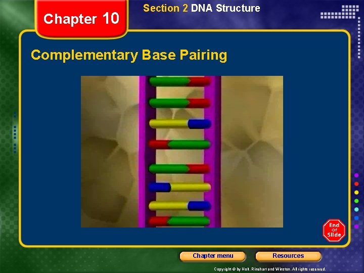 Chapter 10 Section 2 DNA Structure Complementary Base Pairing Chapter menu Resources Copyright ©