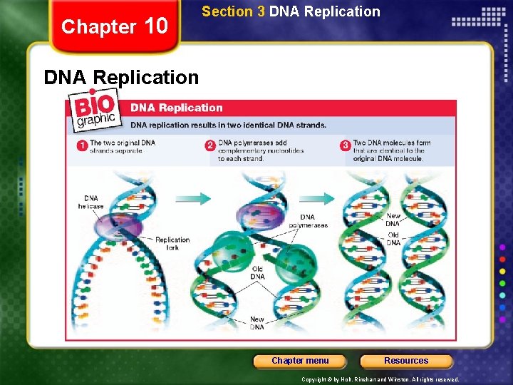 Chapter 10 Section 3 DNA Replication Chapter menu Resources Copyright © by Holt, Rinehart