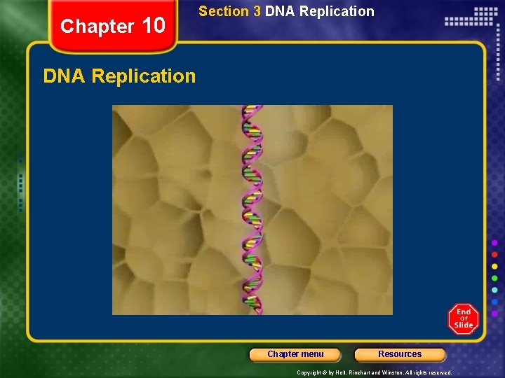 Chapter 10 Section 3 DNA Replication Chapter menu Resources Copyright © by Holt, Rinehart