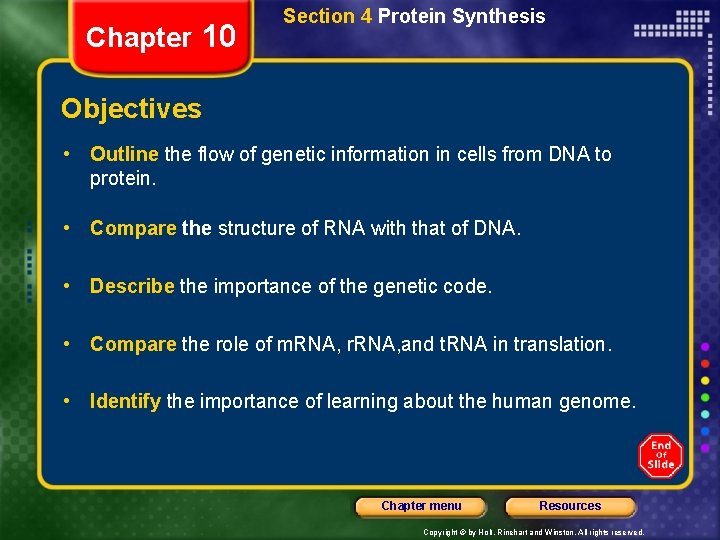 Chapter 10 Section 4 Protein Synthesis Objectives • Outline the flow of genetic information