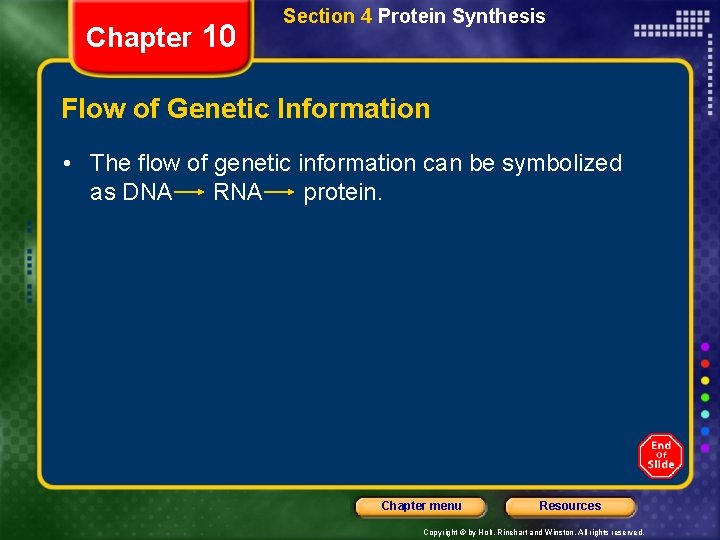 Chapter 10 Section 4 Protein Synthesis Flow of Genetic Information • The flow of