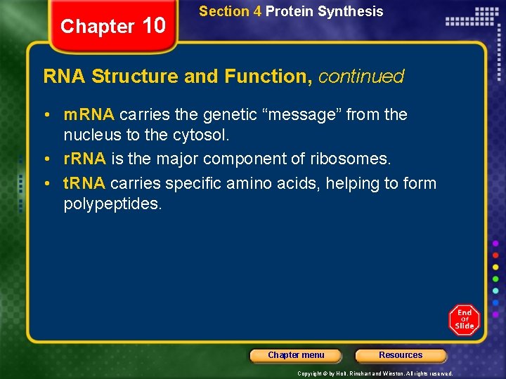 Chapter 10 Section 4 Protein Synthesis RNA Structure and Function, continued • m. RNA