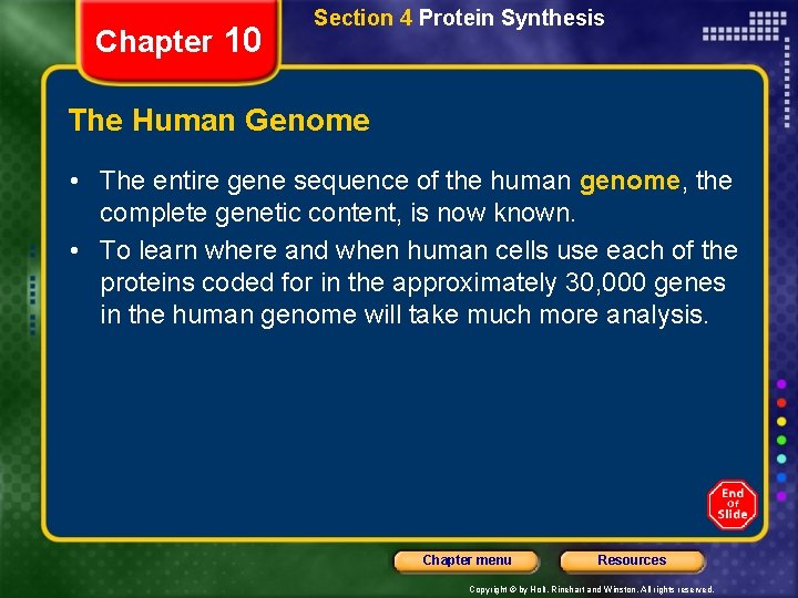 Chapter 10 Section 4 Protein Synthesis The Human Genome • The entire gene sequence