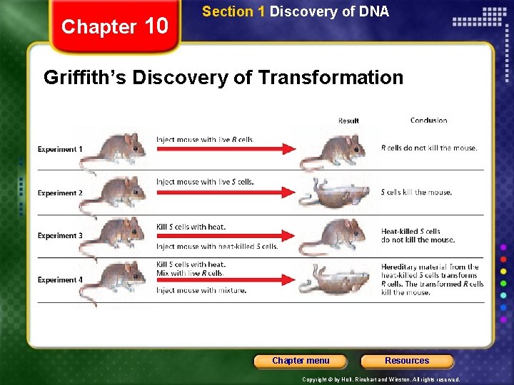 Chapter 10 Section 1 Discovery of DNA Griffith’s Discovery of Transformation Chapter menu Resources