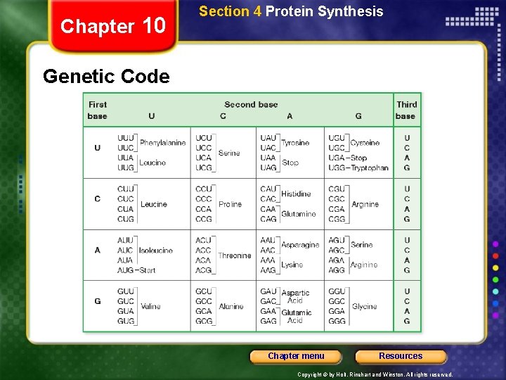 Chapter 10 Section 4 Protein Synthesis Genetic Code Chapter menu Resources Copyright © by