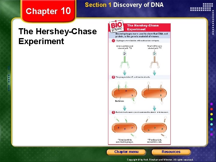 Chapter 10 Section 1 Discovery of DNA The Hershey-Chase Experiment Chapter menu Resources Copyright