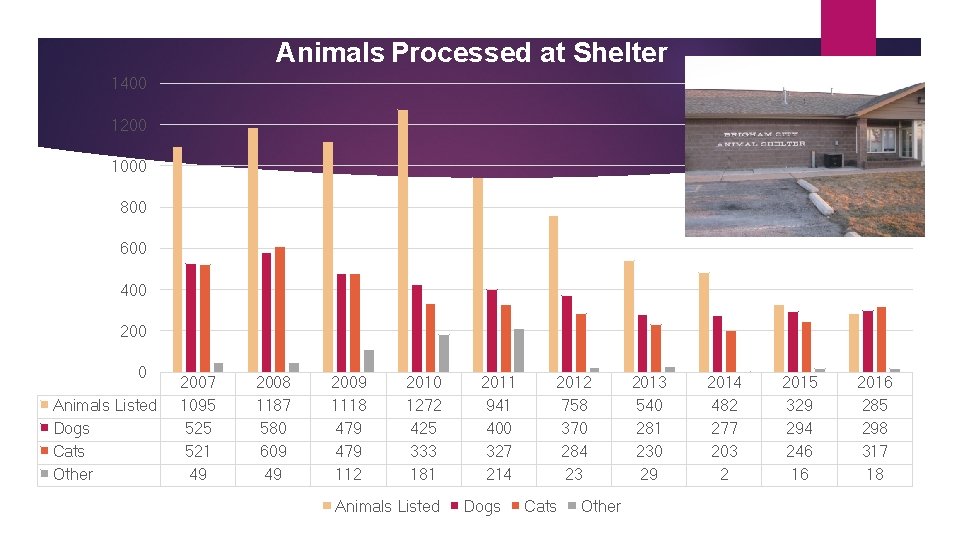 Animals Processed at Shelter 1400 1200 1000 800 600 400 200 0 Animals Listed