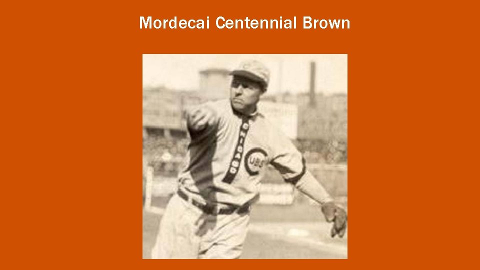 Mordecai Centennial Brown 