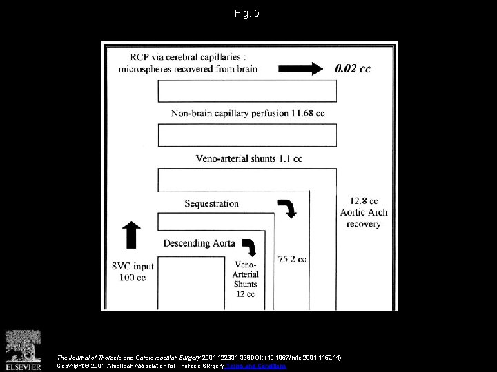 Fig. 5 The Journal of Thoracic and Cardiovascular Surgery 2001 122331 -338 DOI: (10.