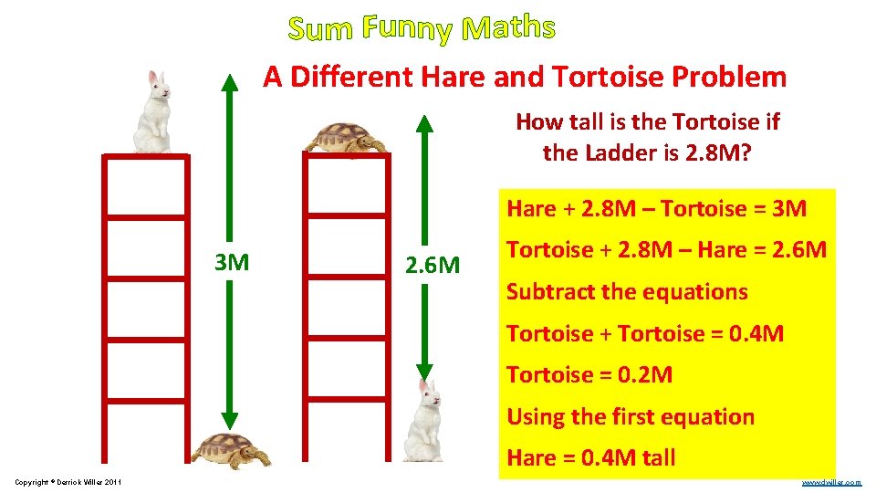 A Different Hare and Tortoise Problem How tall is the Tortoise if the Ladder