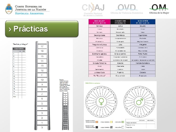 › Prácticas 