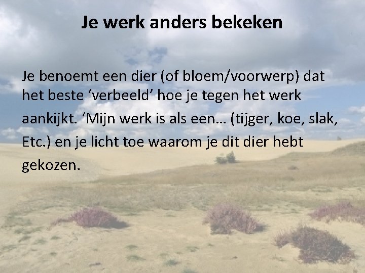 Je werk anders bekeken Je benoemt een dier (of bloem/voorwerp) dat het beste ‘verbeeld’