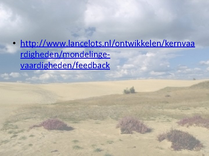  • http: //www. lancelots. nl/ontwikkelen/kernvaa rdigheden/mondelingevaardigheden/feedback 