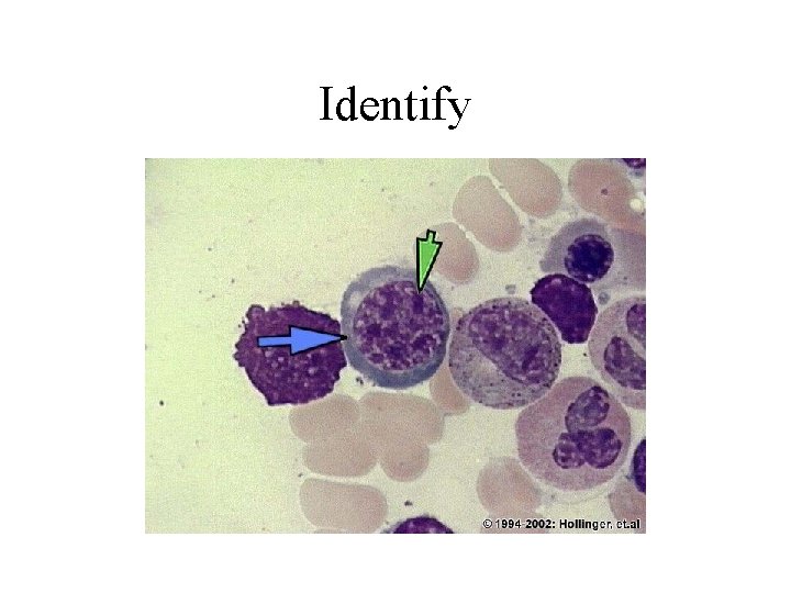Identify 