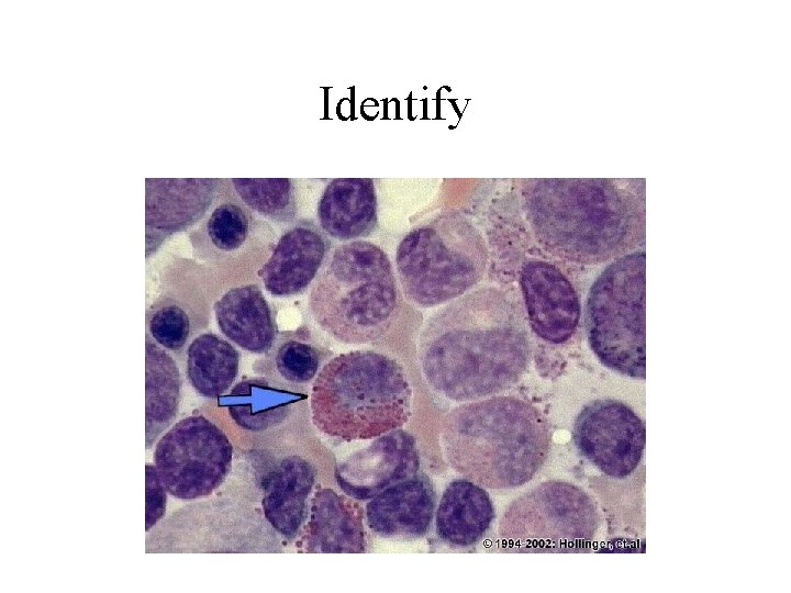 Identify 