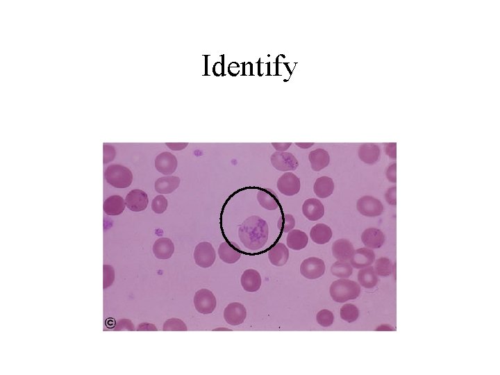 Identify 