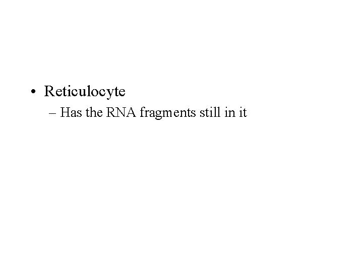  • Reticulocyte – Has the RNA fragments still in it 
