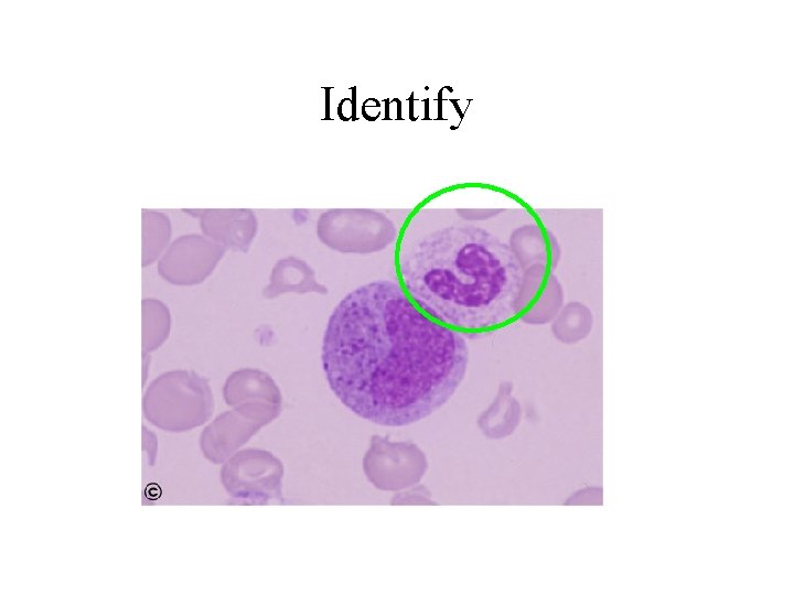 Identify 