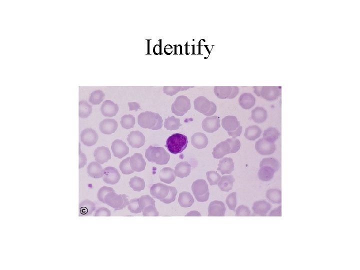 Identify 