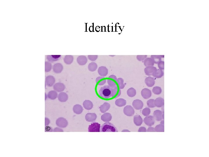 Identify 