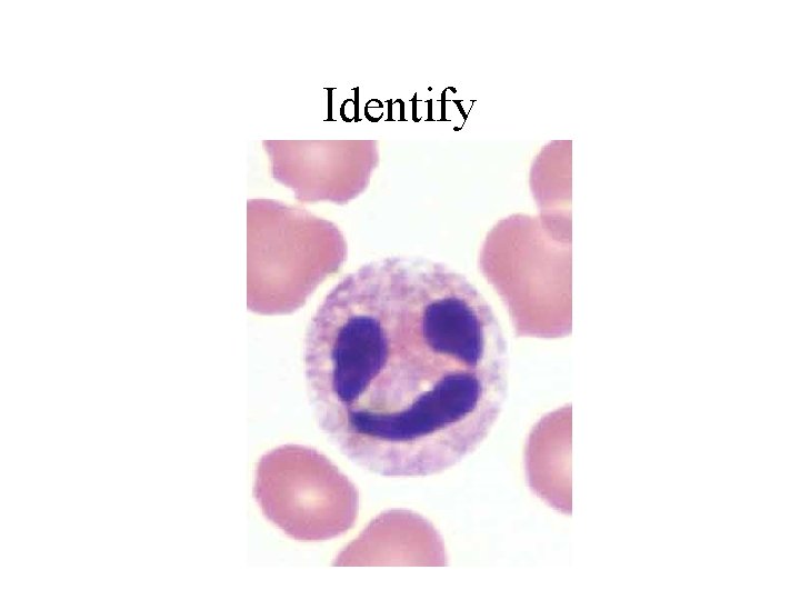 Identify 