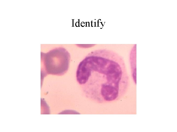 Identify 