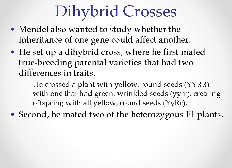 Dihybrid Crosses • Mendel also wanted to study whether the inheritance of one gene