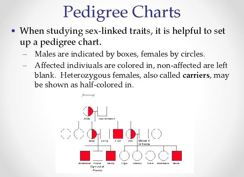 Pedigree Charts • When studying sex-linked traits, it is helpful to set up a