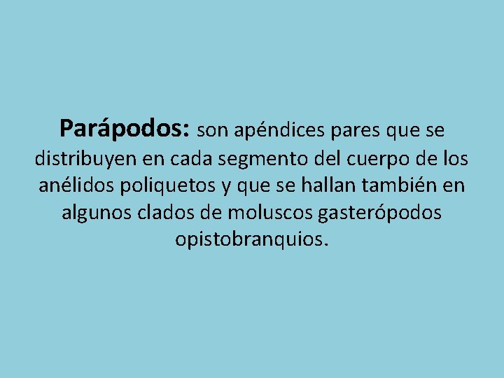 Parápodos: son apéndices pares que se distribuyen en cada segmento del cuerpo de los