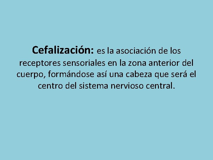 Cefalización: es la asociación de los receptores sensoriales en la zona anterior del cuerpo,