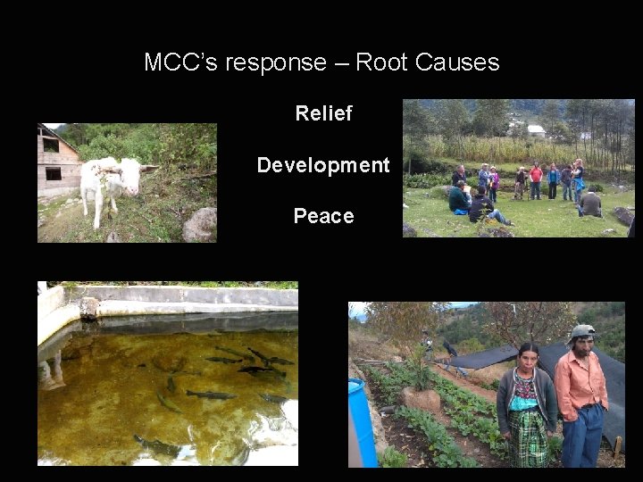 MCC’s response – Root Causes Relief Development Peace 