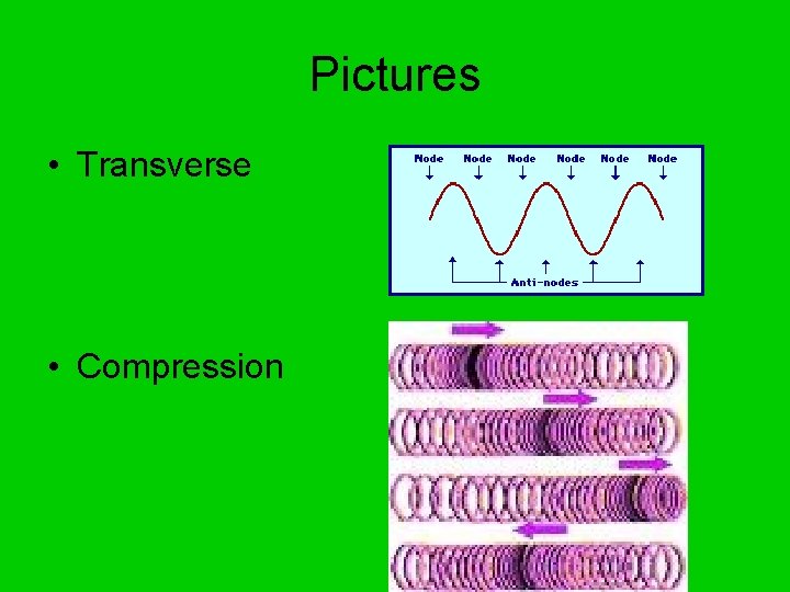 Pictures • Transverse • Compression 
